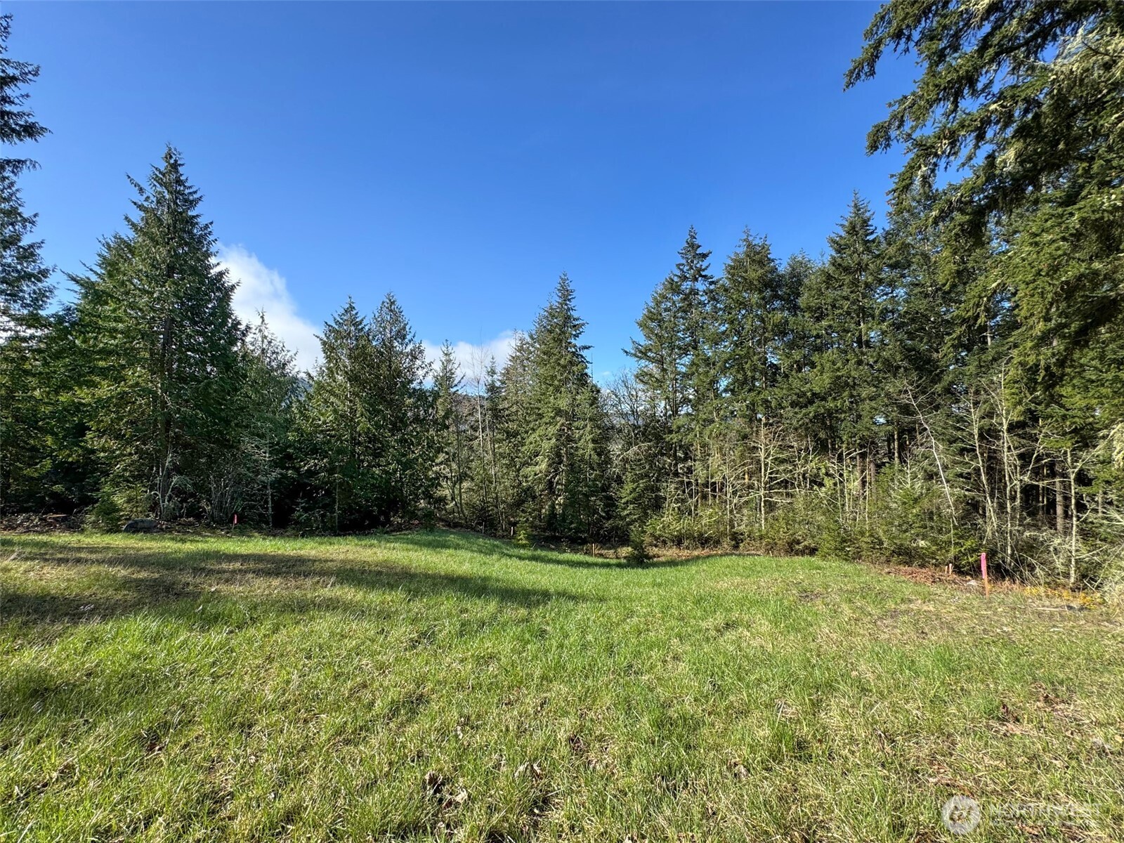 999 Fox Hollow Road Sequim, WA 98382 - Photo 13 of 21