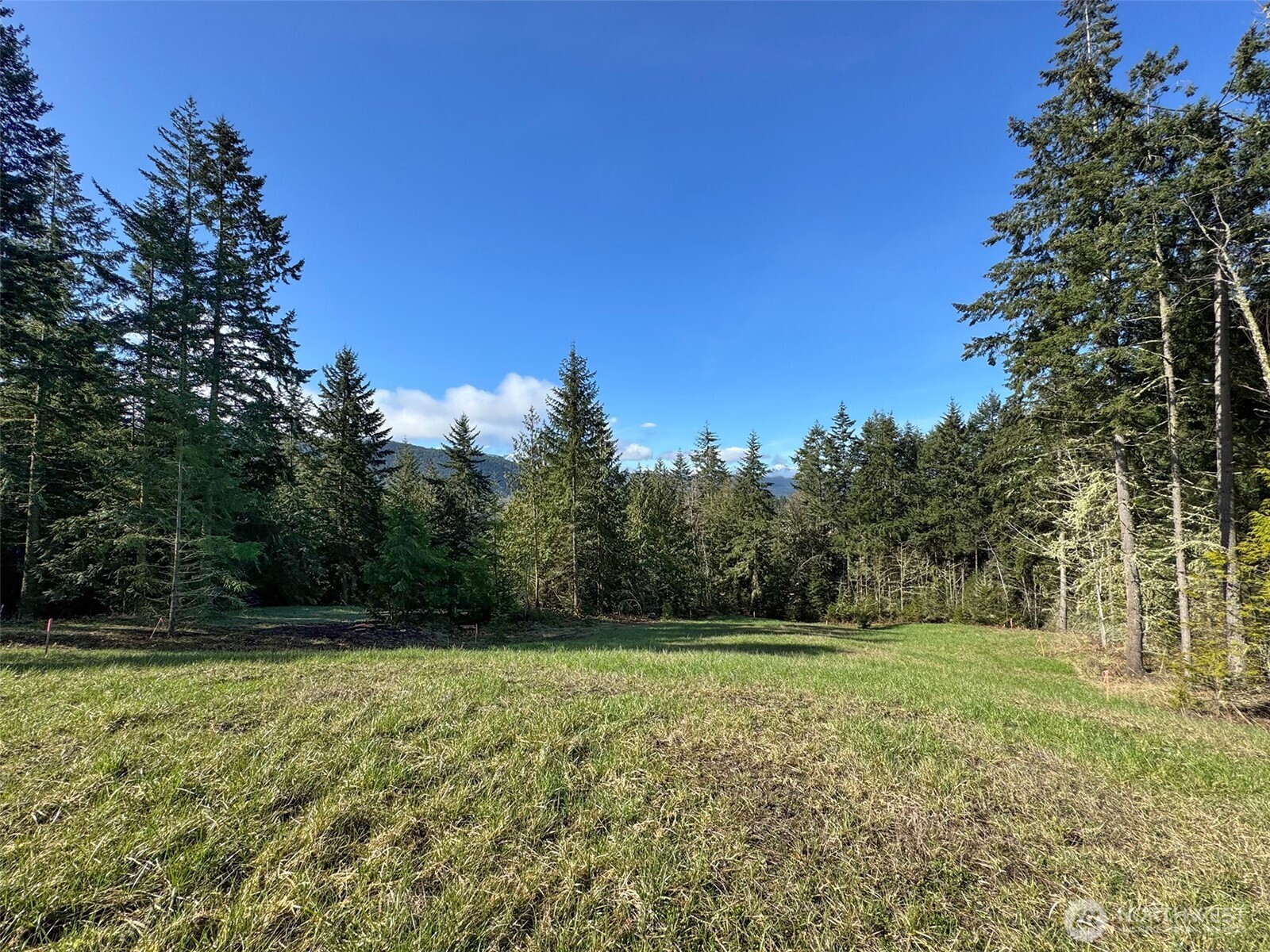 999 Fox Hollow Road Sequim, WA 98382 - Photo 14 of 21