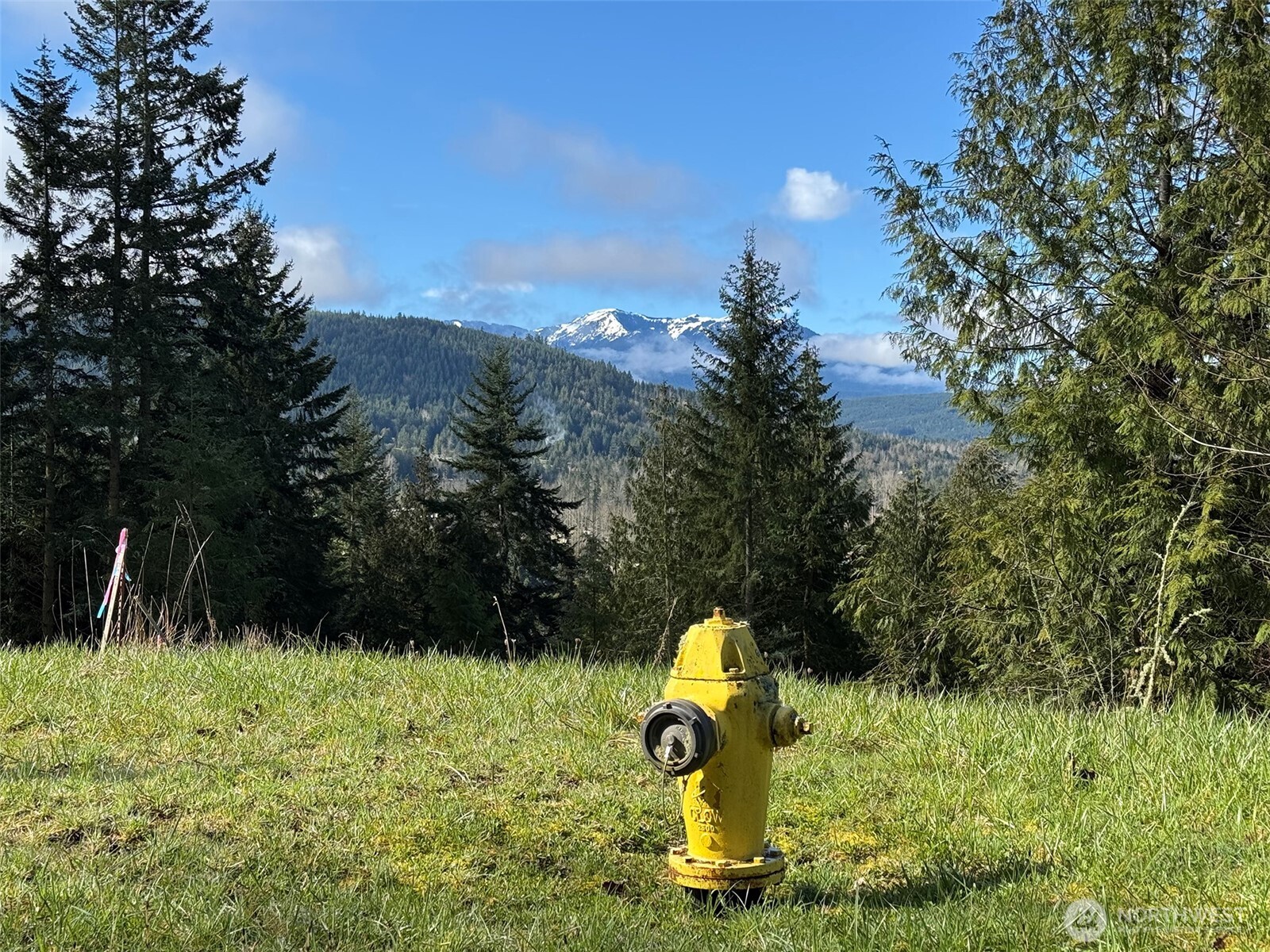 999 Fox Hollow Road Sequim, WA 98382 - Photo 15 of 21