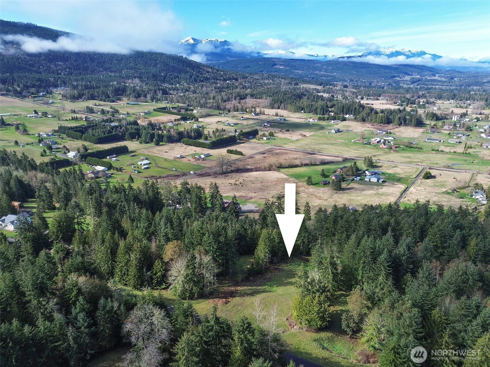 999 Fox Hollow Road Sequim, WA 98382 - Photo 4 of 21