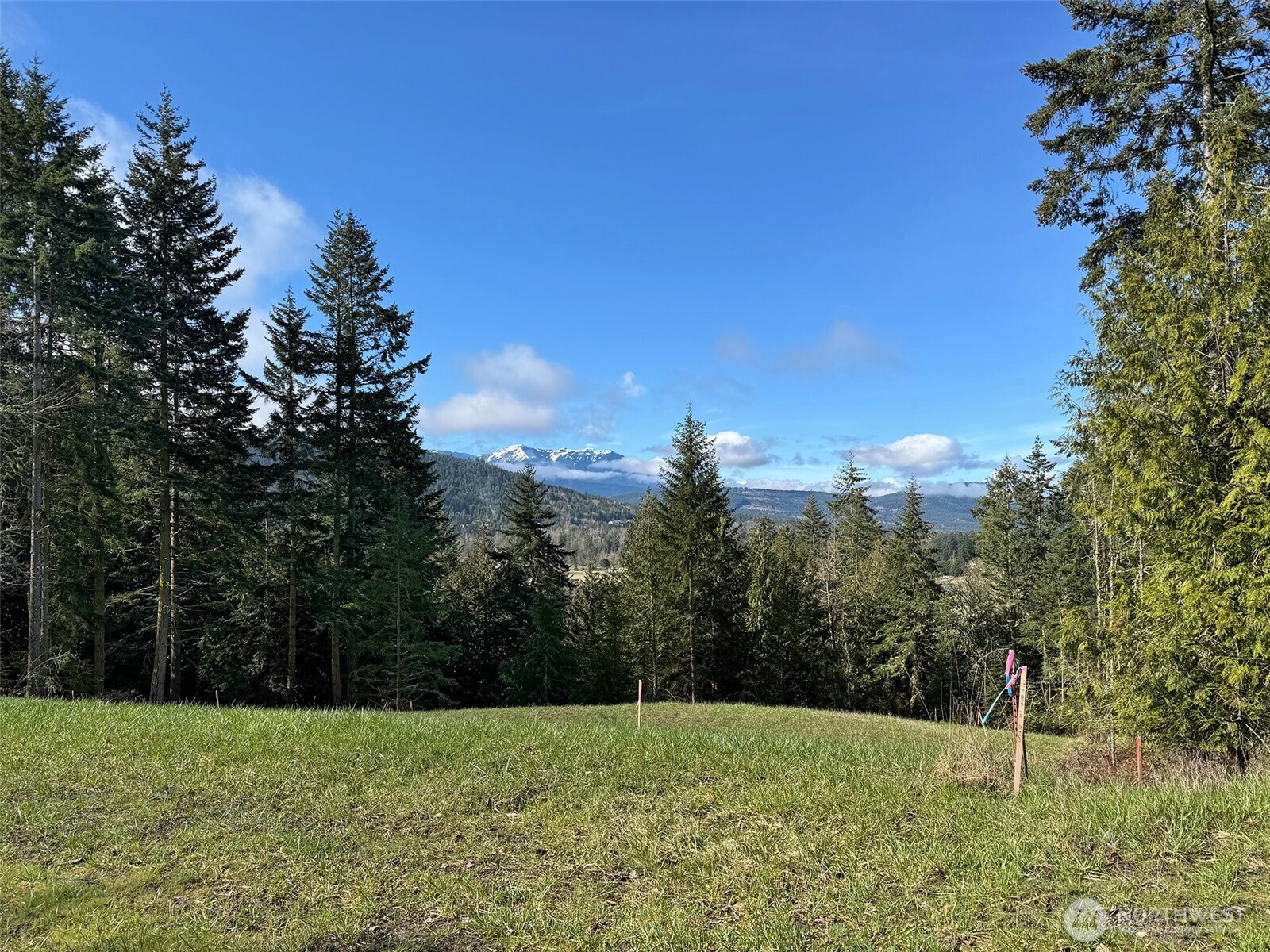 999 Fox Hollow Road Sequim, WA 98382 - Photo 7 of 21