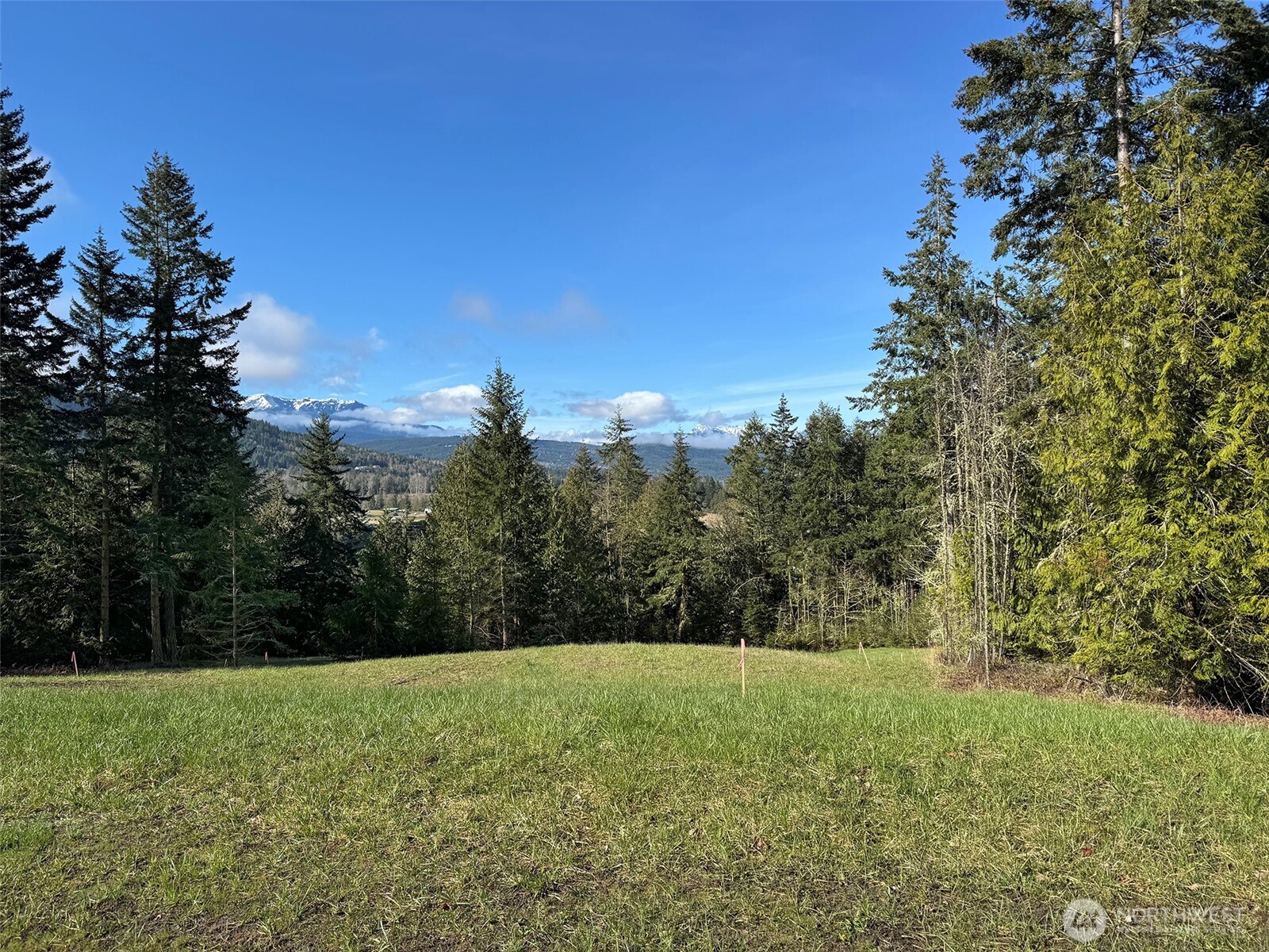 999 Fox Hollow Road Sequim, WA 98382 - Photo 8 of 21