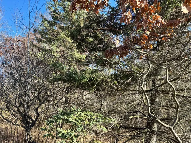 $325,000 | Lt1 Lt1 County Highway, Slinger, WI 53086