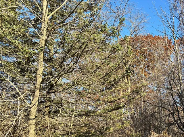 $325,000 | Lt1 Lt1 County Highway, Slinger, WI 53086