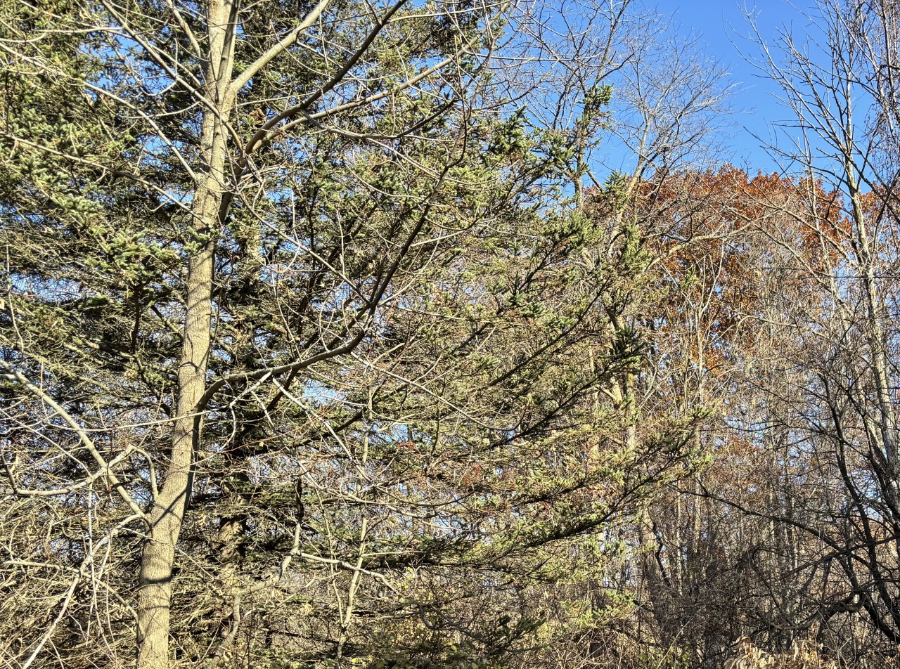 Lt1 Lt1 County Highway Slinger, WI 53086 - Photo 5 of 5 Fall photos