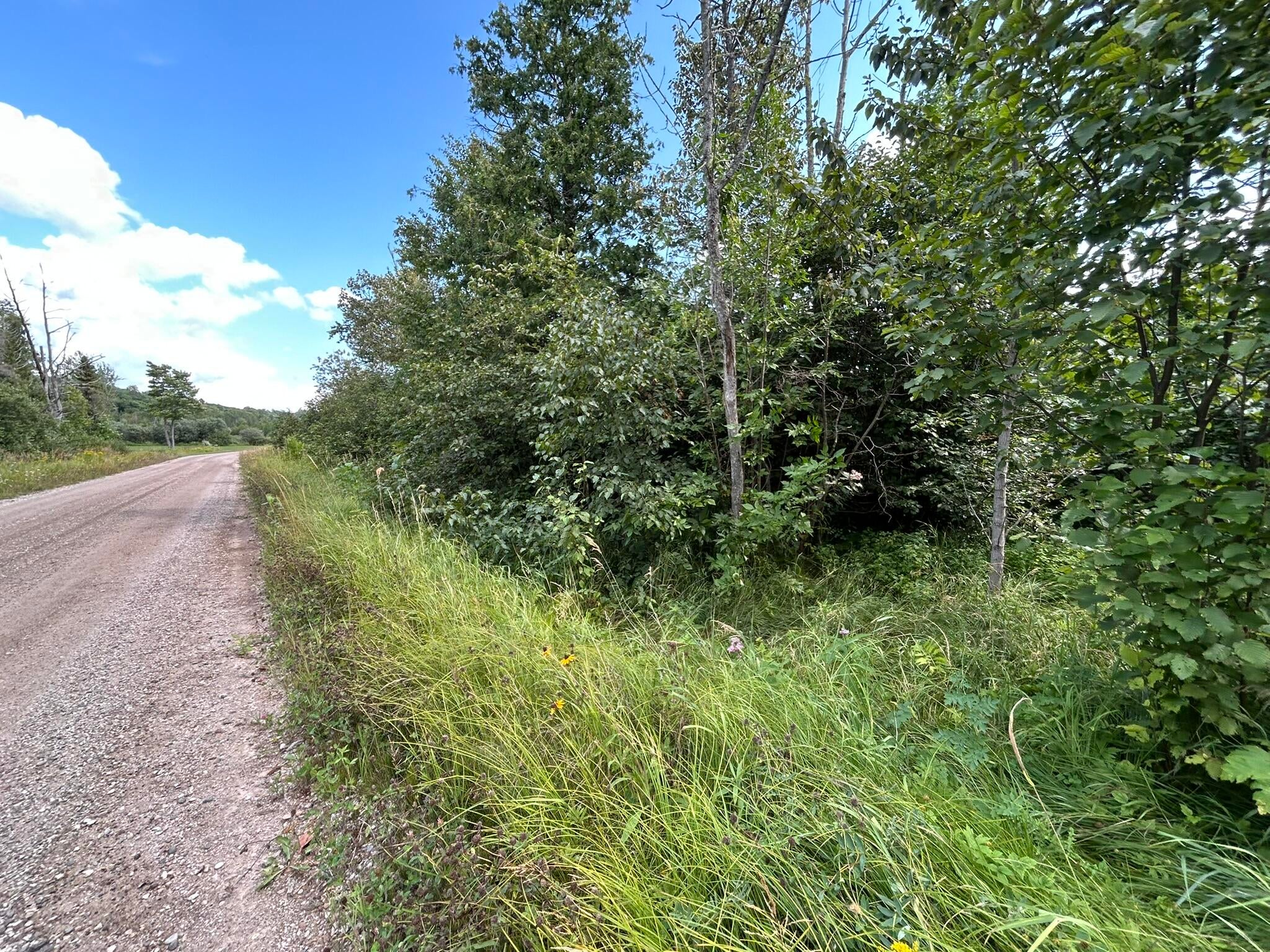 Epoufette Bay Road Naubinway, MI 49762 - Photo 15 of 26 Gallery Image 15