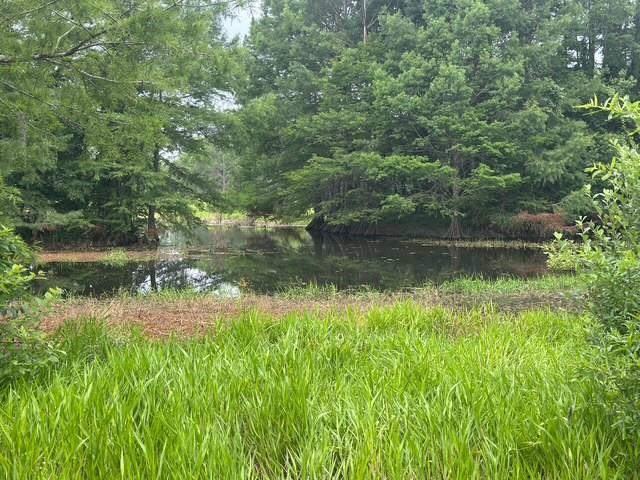 179 Fred Sanders Road Sibley, LA 71073 - Photo 37 of 38