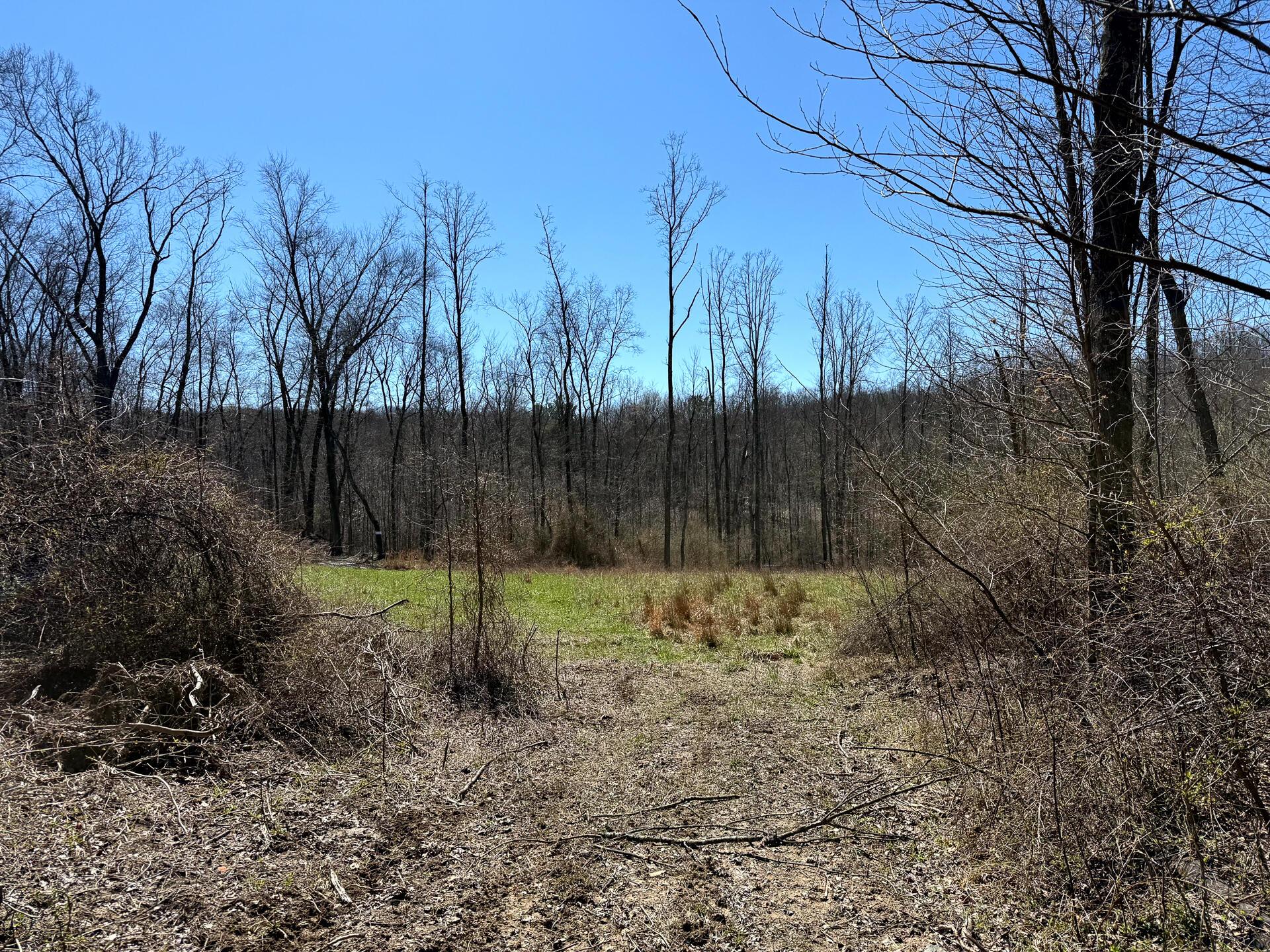 0 Dutch Ridge Road Southeast, Unit WOODS TURKEY RUN TRACT 5) New Lexington, OH 43764 - Photo 17 of 58 CT-17