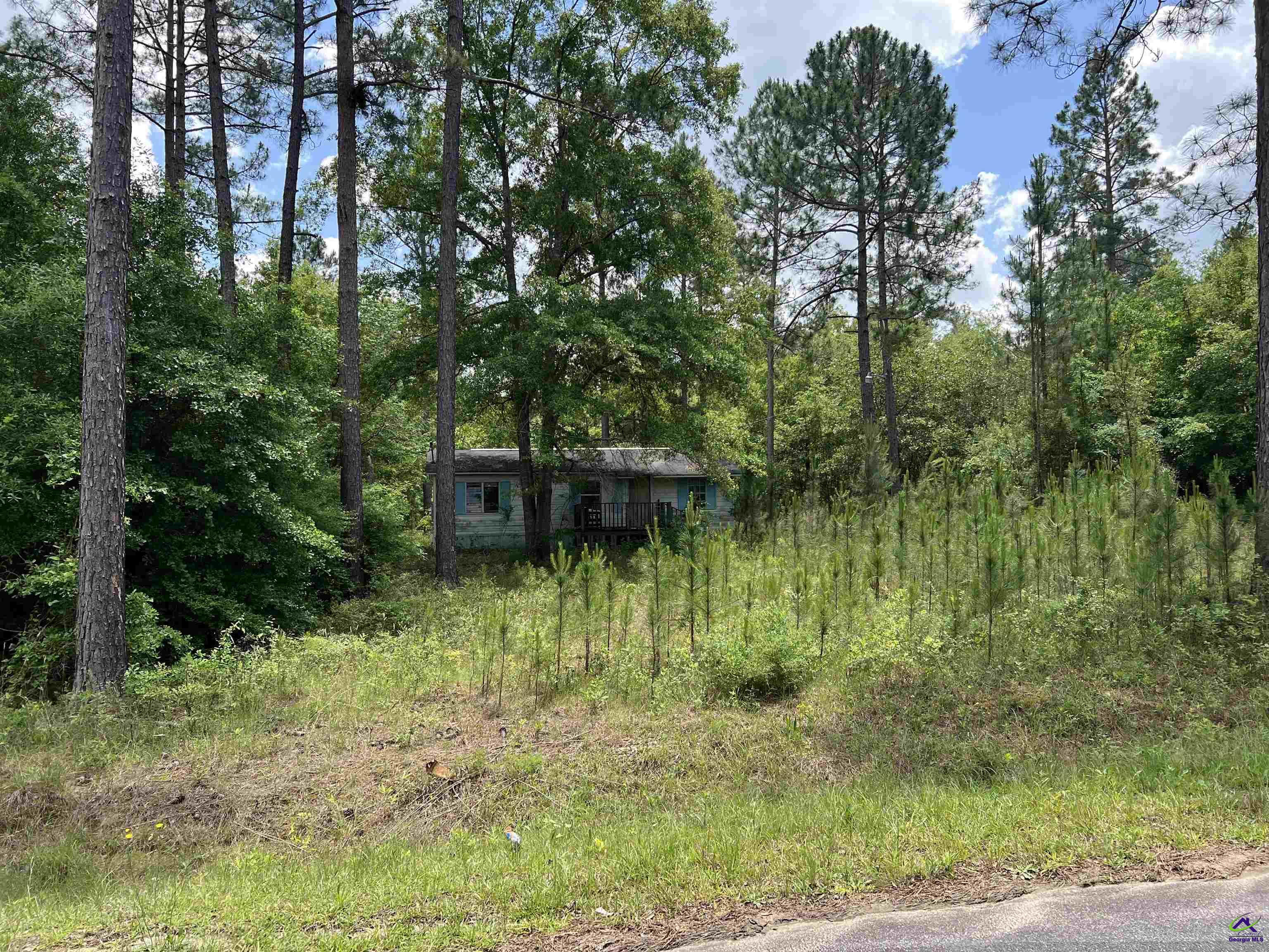 Rock Hill Road Cochran, GA 31014 - Photo 14 of 26 a backyard of a house with lots of green space