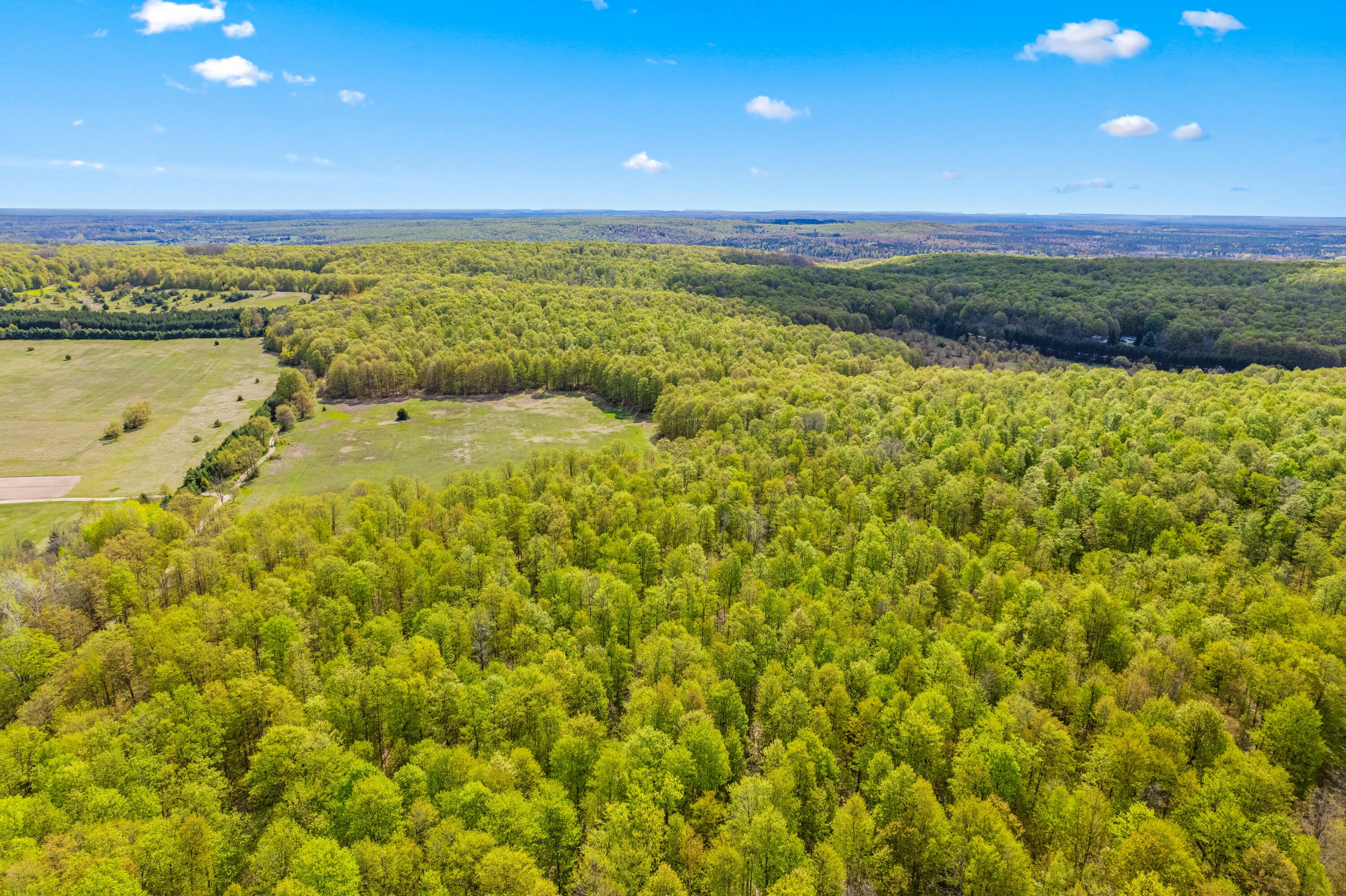 Ashley Road Vanderbilt, MI 49795 - Photo 6 of 12 Gallery Image 6