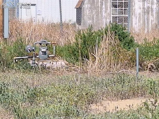 a view of a field of an ocean