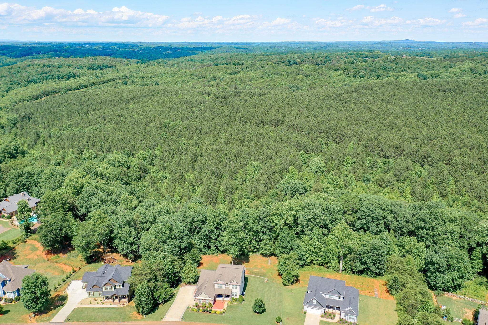 452 Beryl Lane Chesnee, SC 29323 - Photo 35 of 37 Gallery Image 35