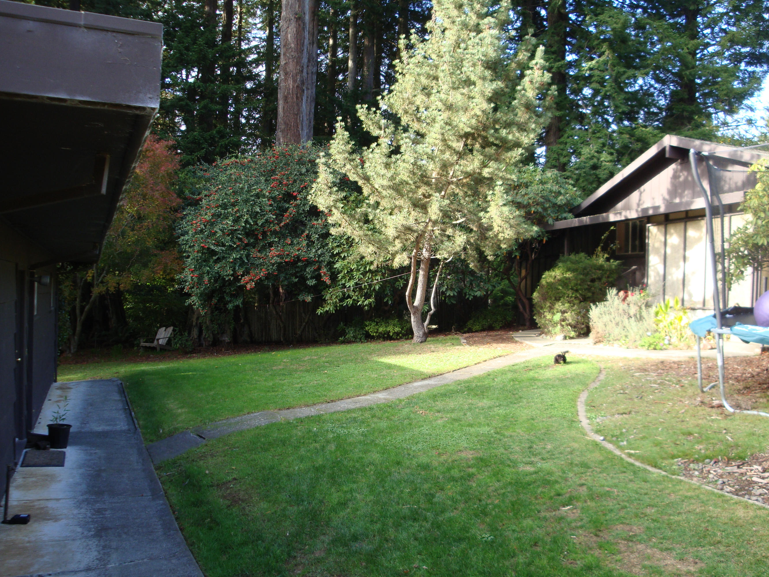 1186 Fickle Hill Road Arcata, CA 95521 - Photo 22 of 23 Gallery Image 22