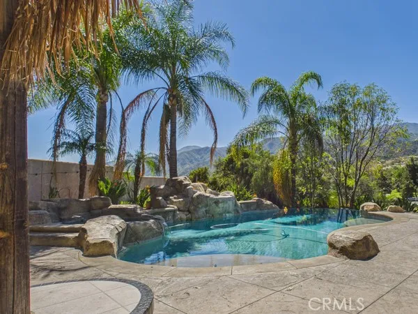 a view of a backyard with palm trees