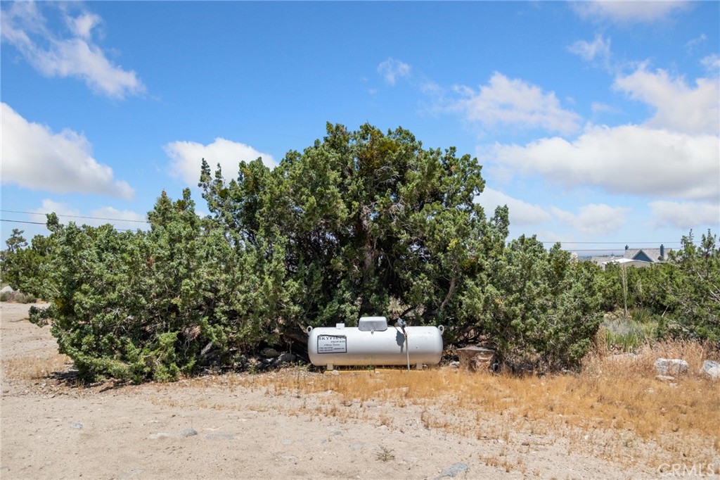 565 Juniper Road Pinon Hills, CA 92372 - Photo 20 of 28