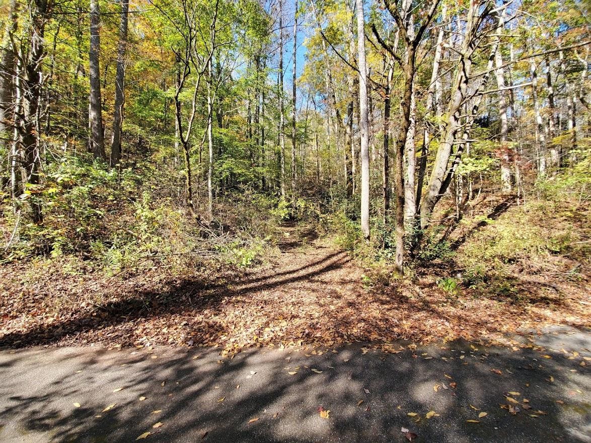 1 Mill Creek Road Pigeon Forge, TN 37862 - Photo 20 of 26 Gallery Image 20