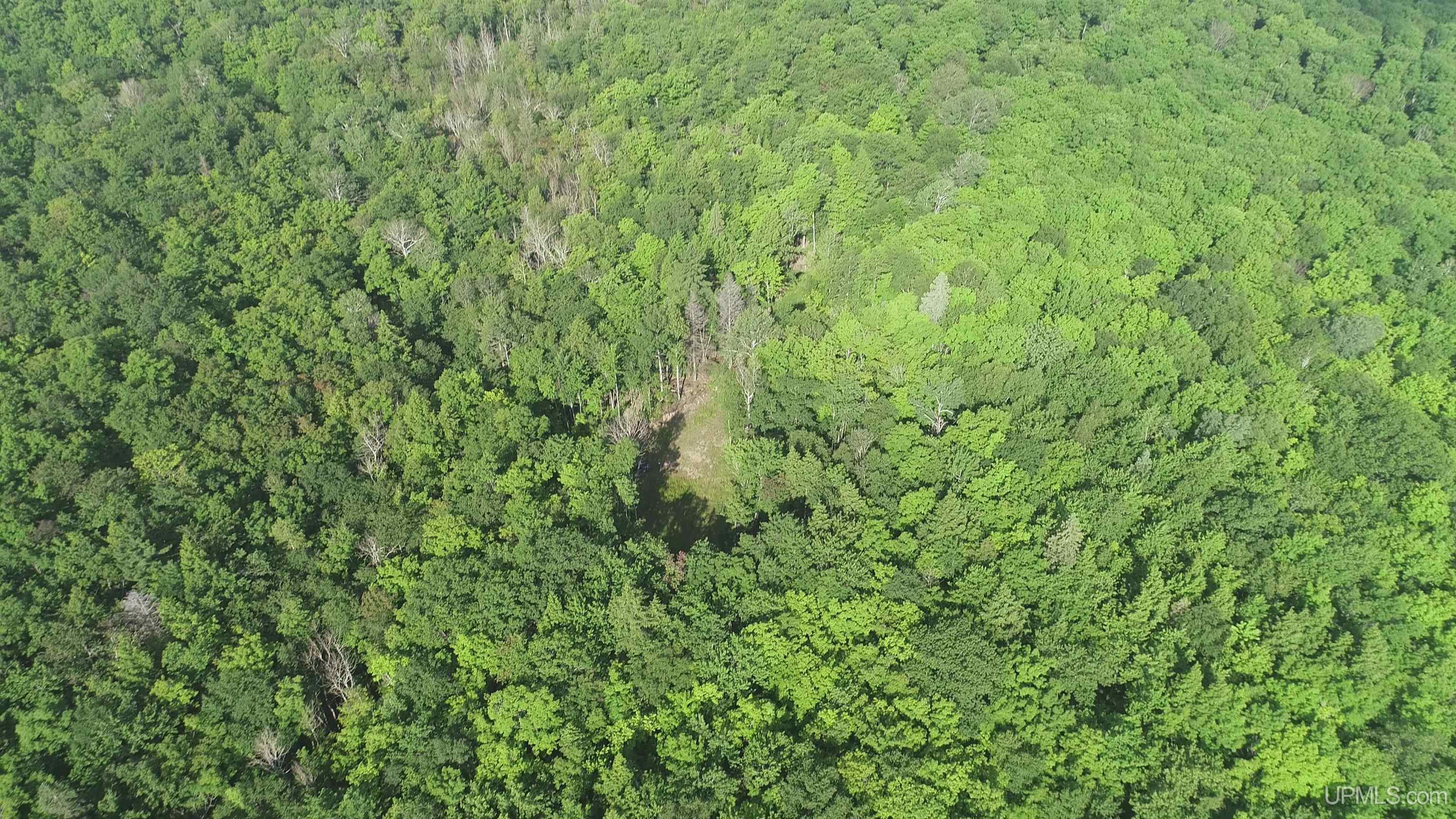 510 Rd Ishpeming Mi 49849 Road Negaunee, MI 49866 - Photo 18 of 33
