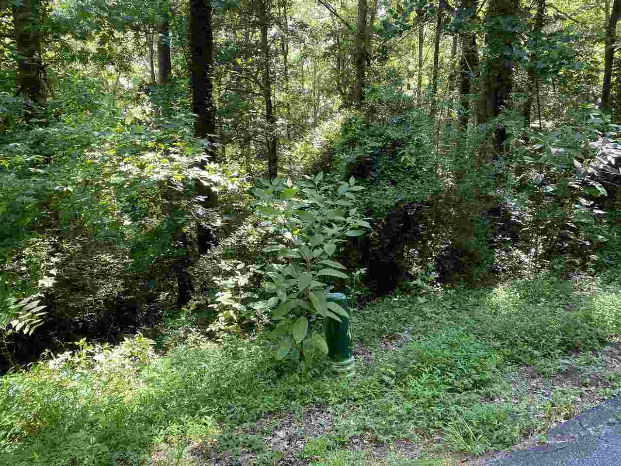 145 Timberlake Circle Inman, SC 29349 - Photo 7 of 11