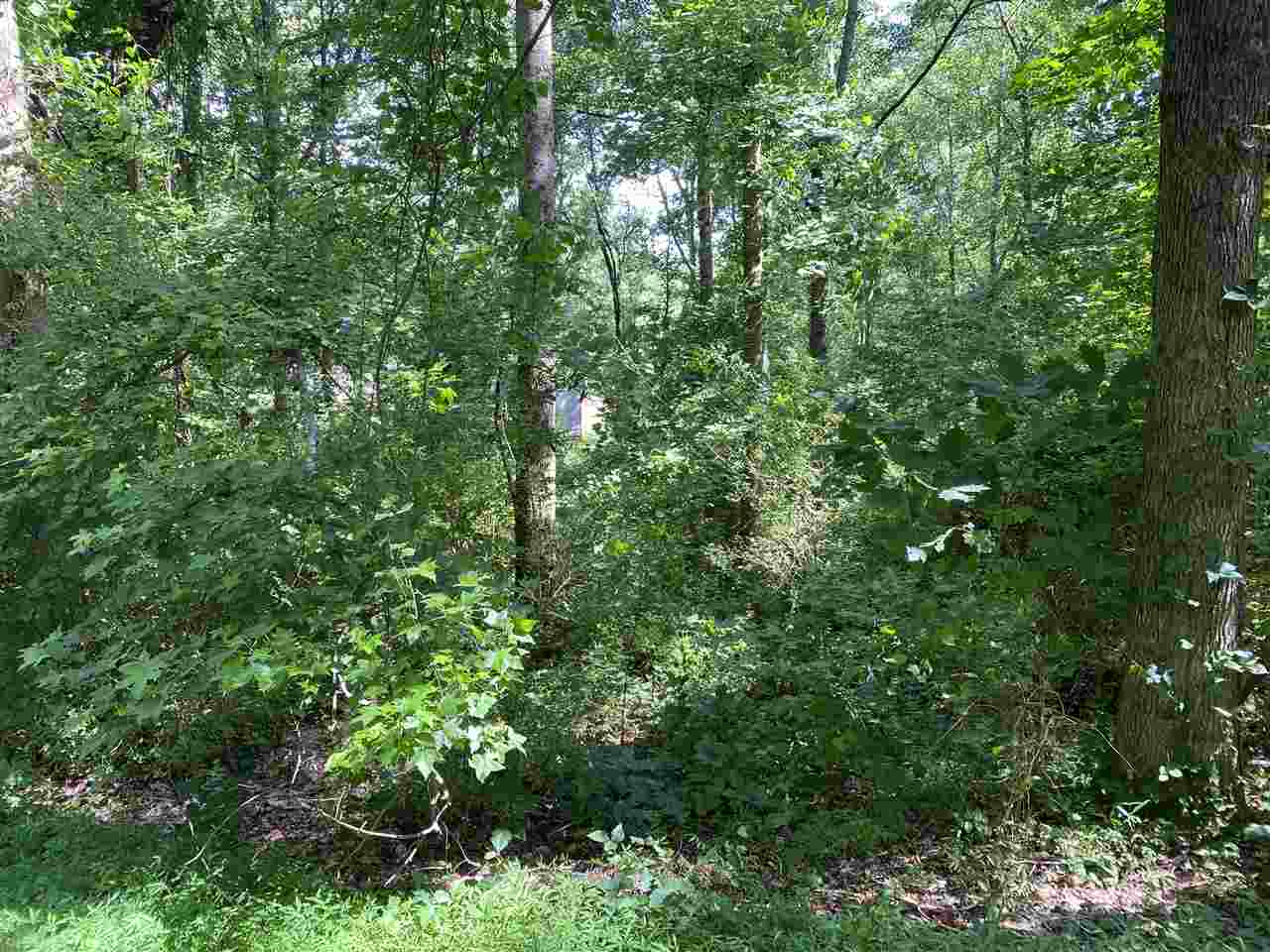 145 Timberlake Circle Inman, SC 29349 - Photo 8 of 11