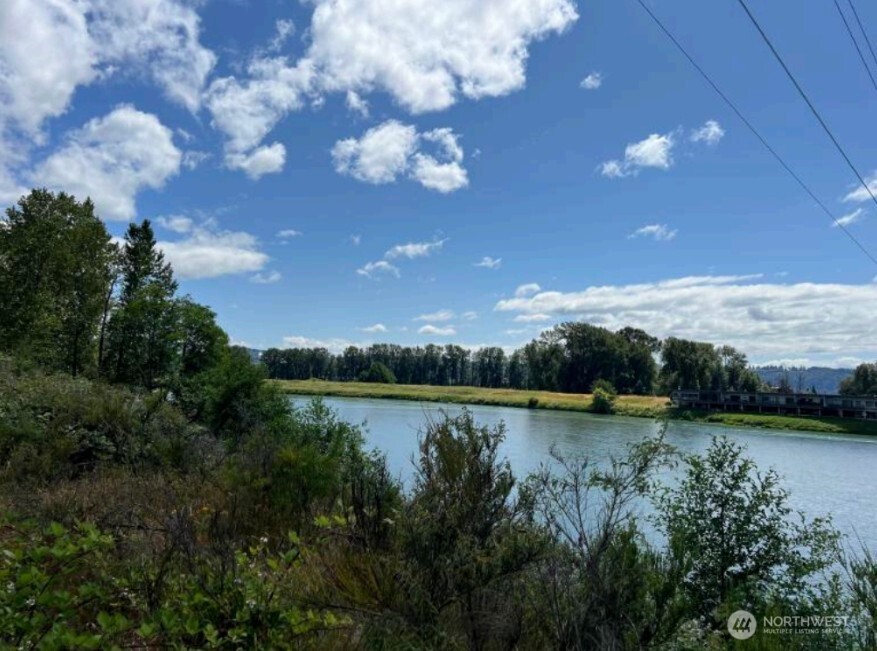 2000 South River Road Kelso, WA 98626 - Photo 13 of 16 a view of a lake in middle of forest