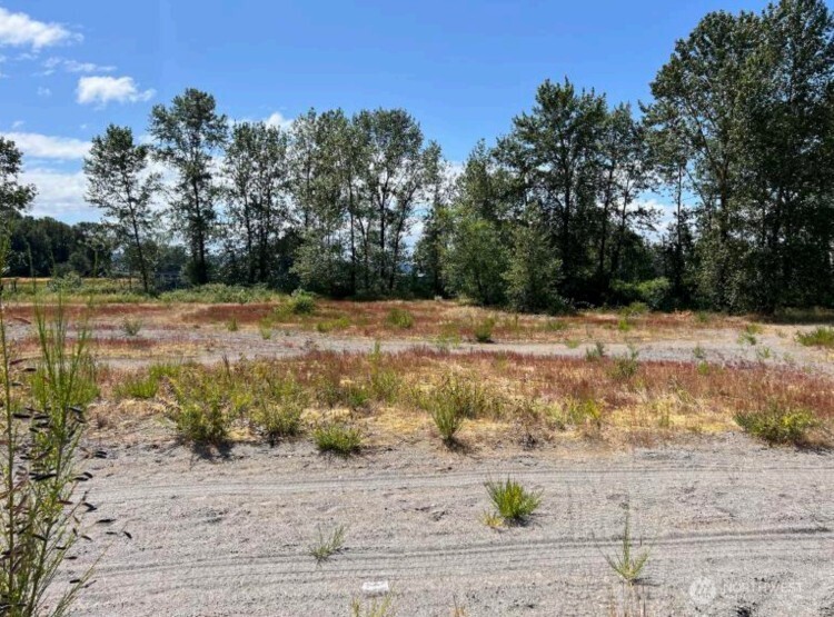 2000 South River Road Kelso, WA 98626 - Photo 6 of 16 a view of a yard with trees