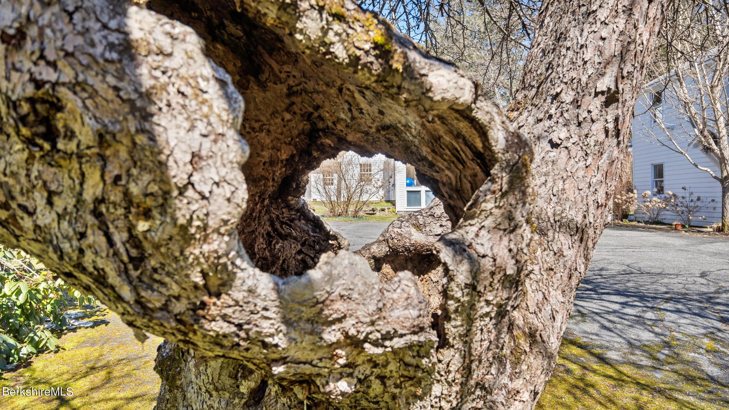 5 Glendale Road Stockbridge, MA 01262 - Photo 32 of 55 LRDSC03103