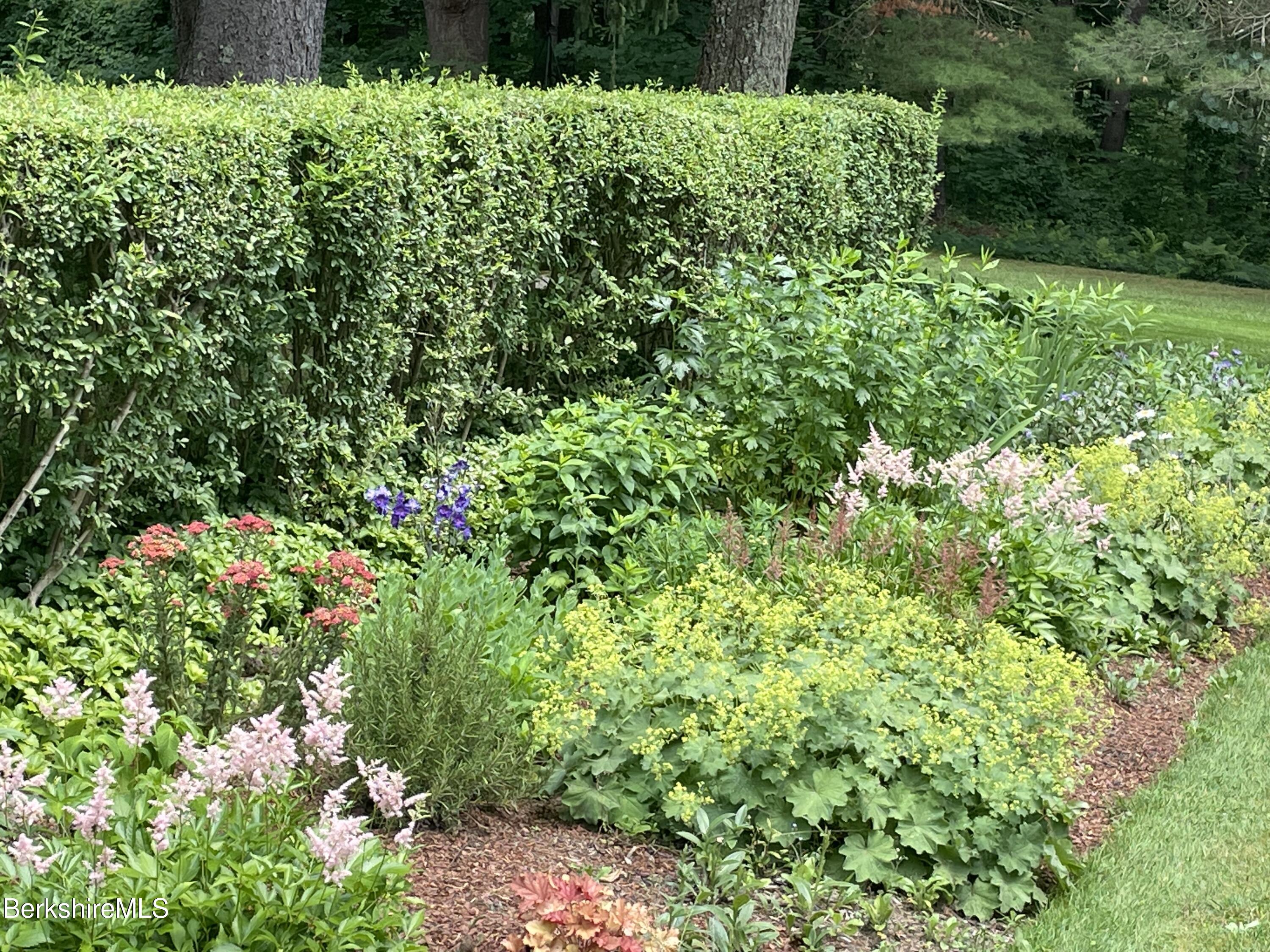 5 Glendale Road Stockbridge, MA 01262 - Photo 4 of 55 IMG_4860