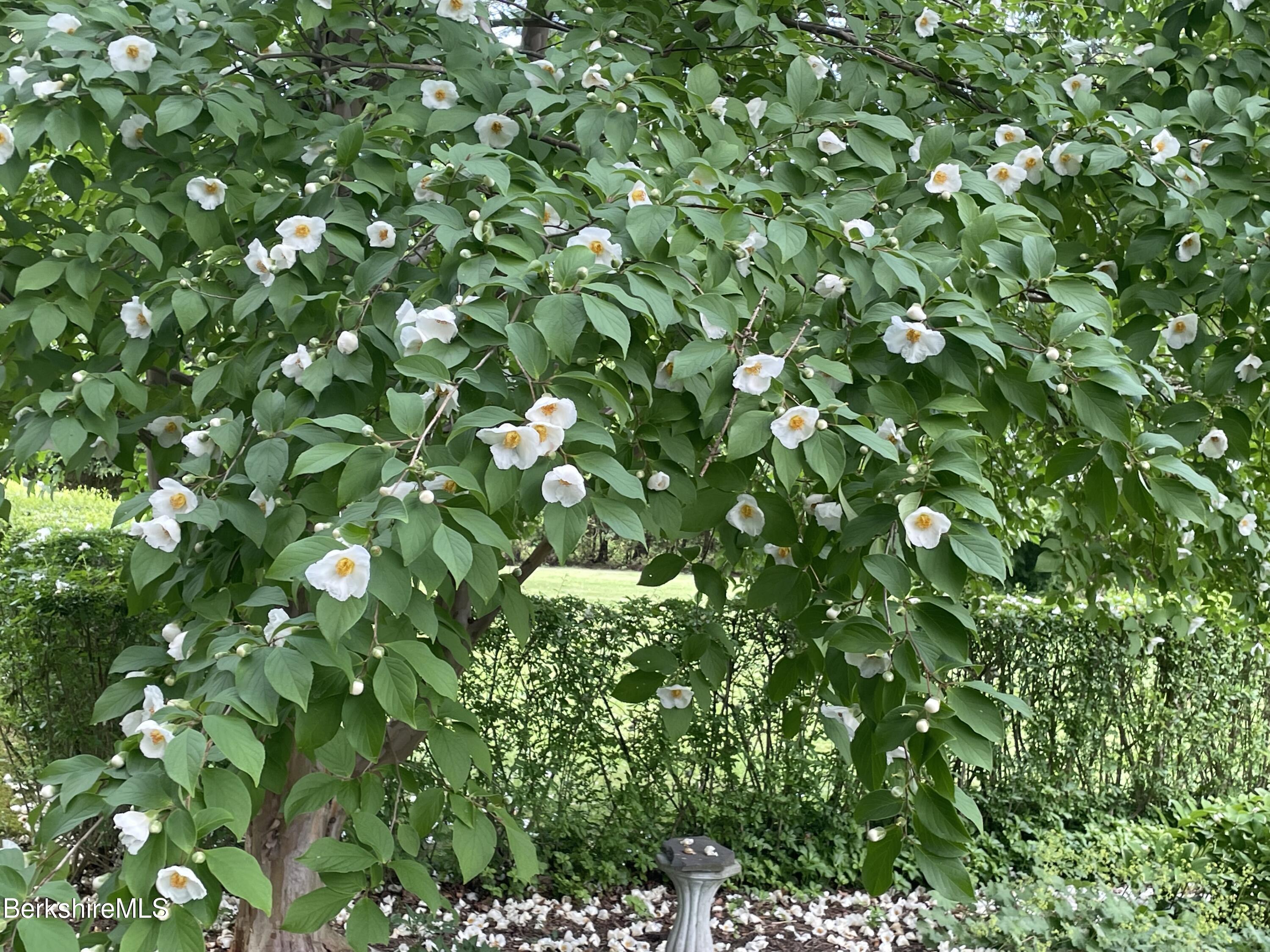 5 Glendale Road Stockbridge, MA 01262 - Photo 46 of 55 IMG_4865