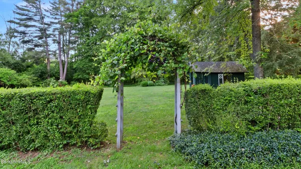 a view of a backyard with plants