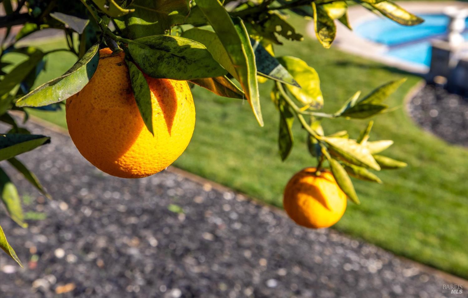685 Elderberry Loop Vacaville, CA 95688 - Photo 68 of 73 a view of a swimming pool