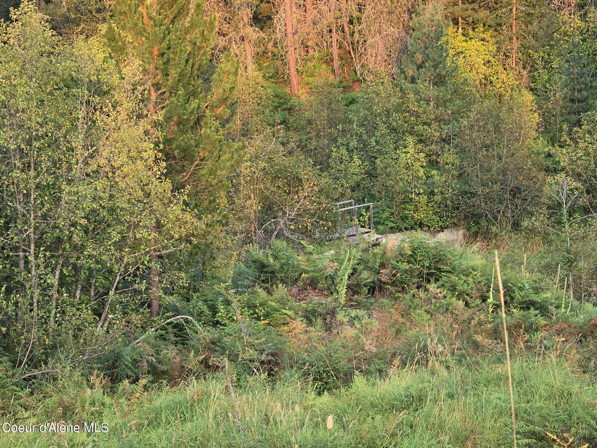 461 Bear Road Priest River, ID 83856 - Photo 12 of 12 IMG_20250918_112555