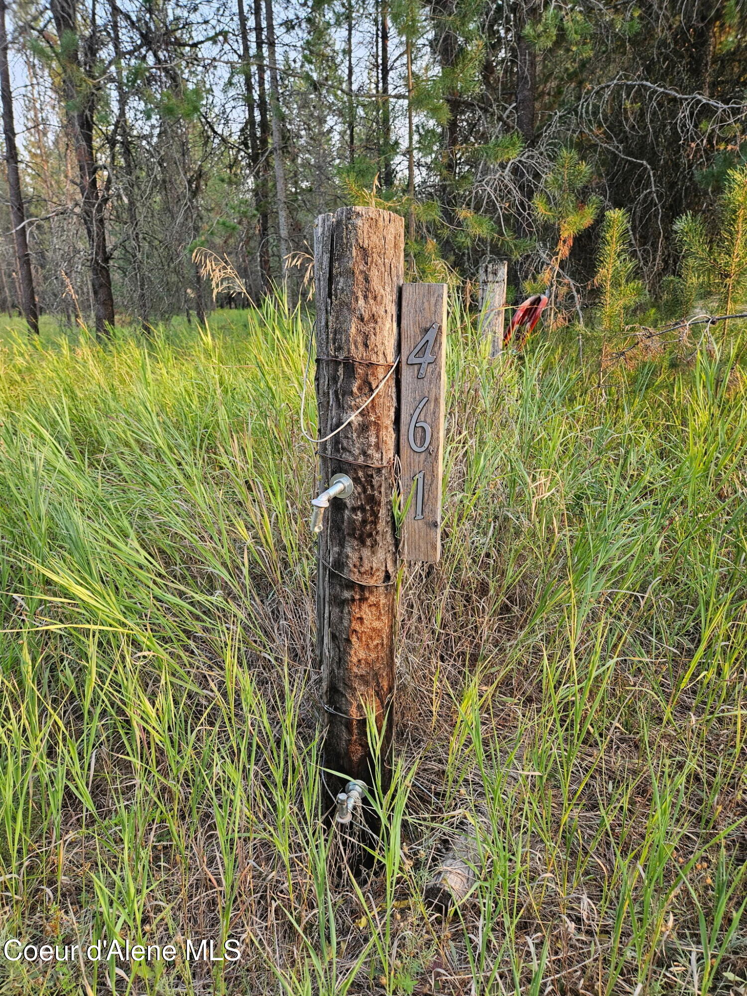 461 Bear Road Priest River, ID 83856 - Photo 2 of 12 IMG_20250918_112526