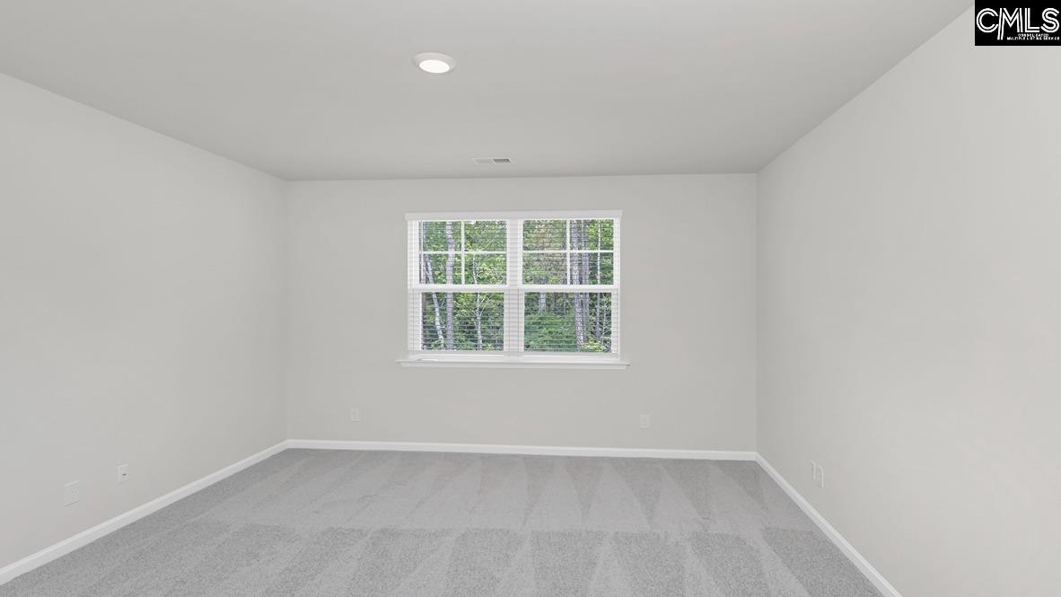 198 Ruby Prince Road Gilbert, SC 29054 - Photo 18 of 41