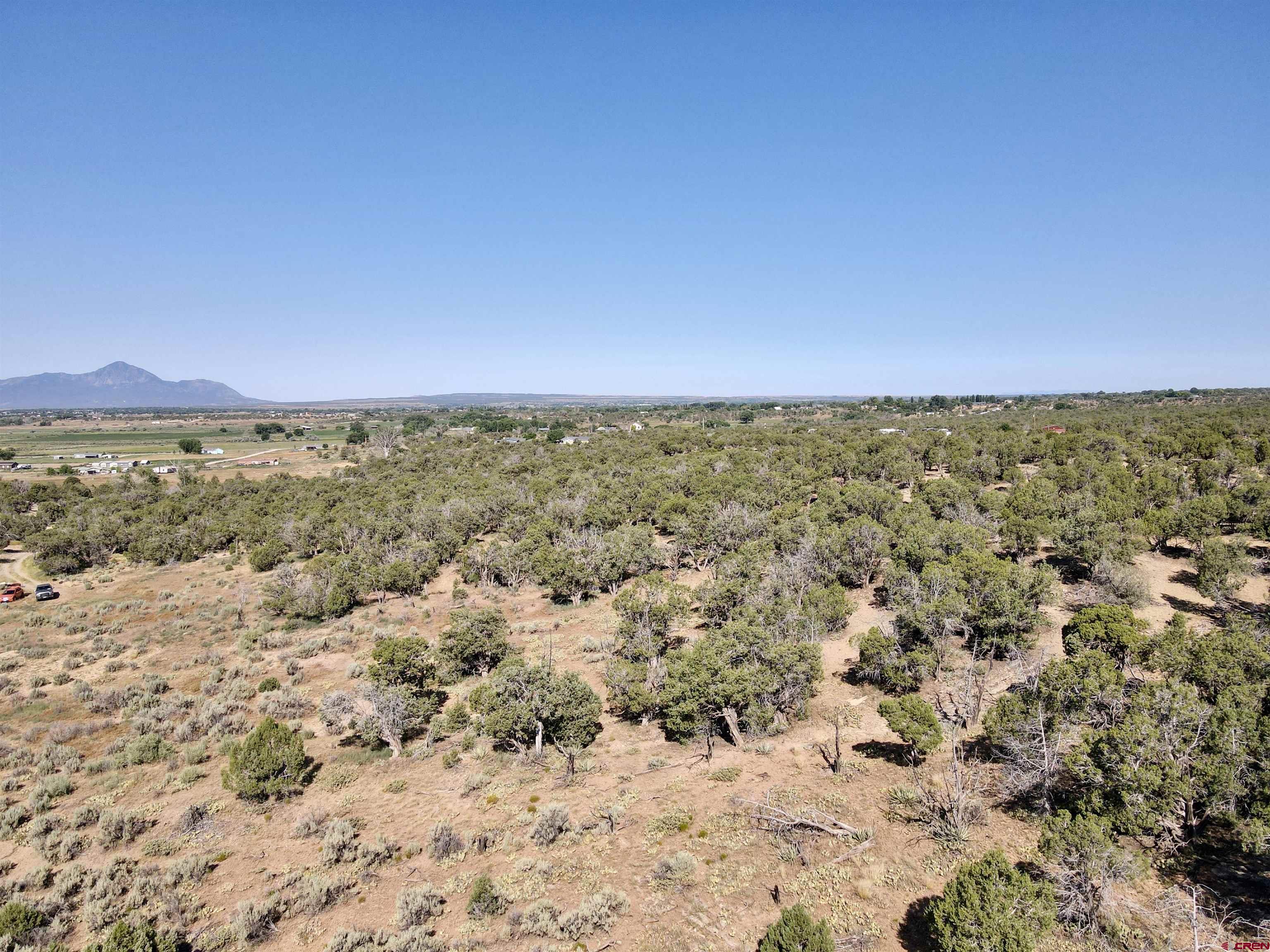 Tbd Rd L Mancos, CO 81328 - Photo 15 of 24 a view of a yard with a mountain