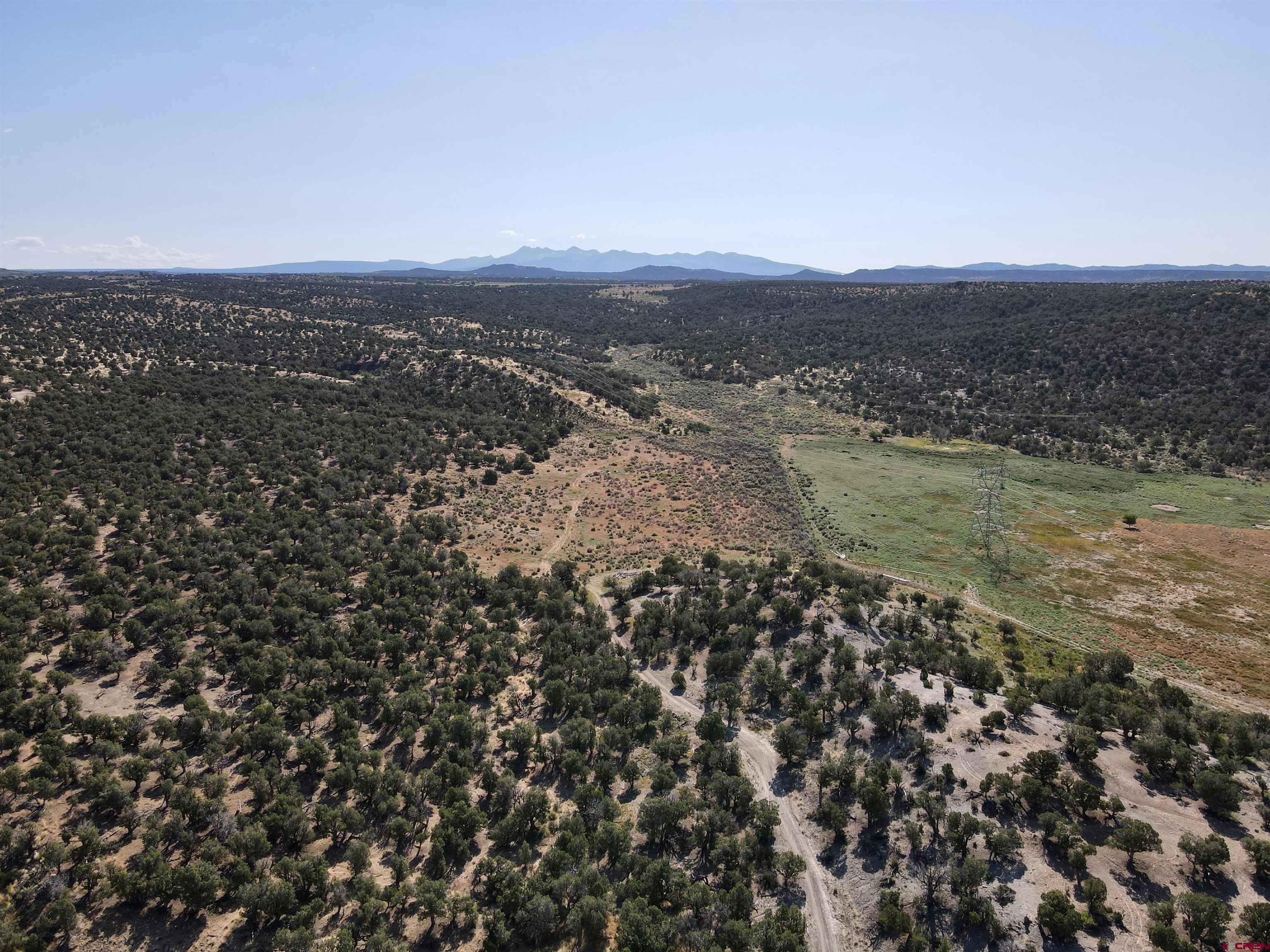 Tbd Rd L Mancos, CO 81328 - Photo 22 of 24 an aerial view of forest