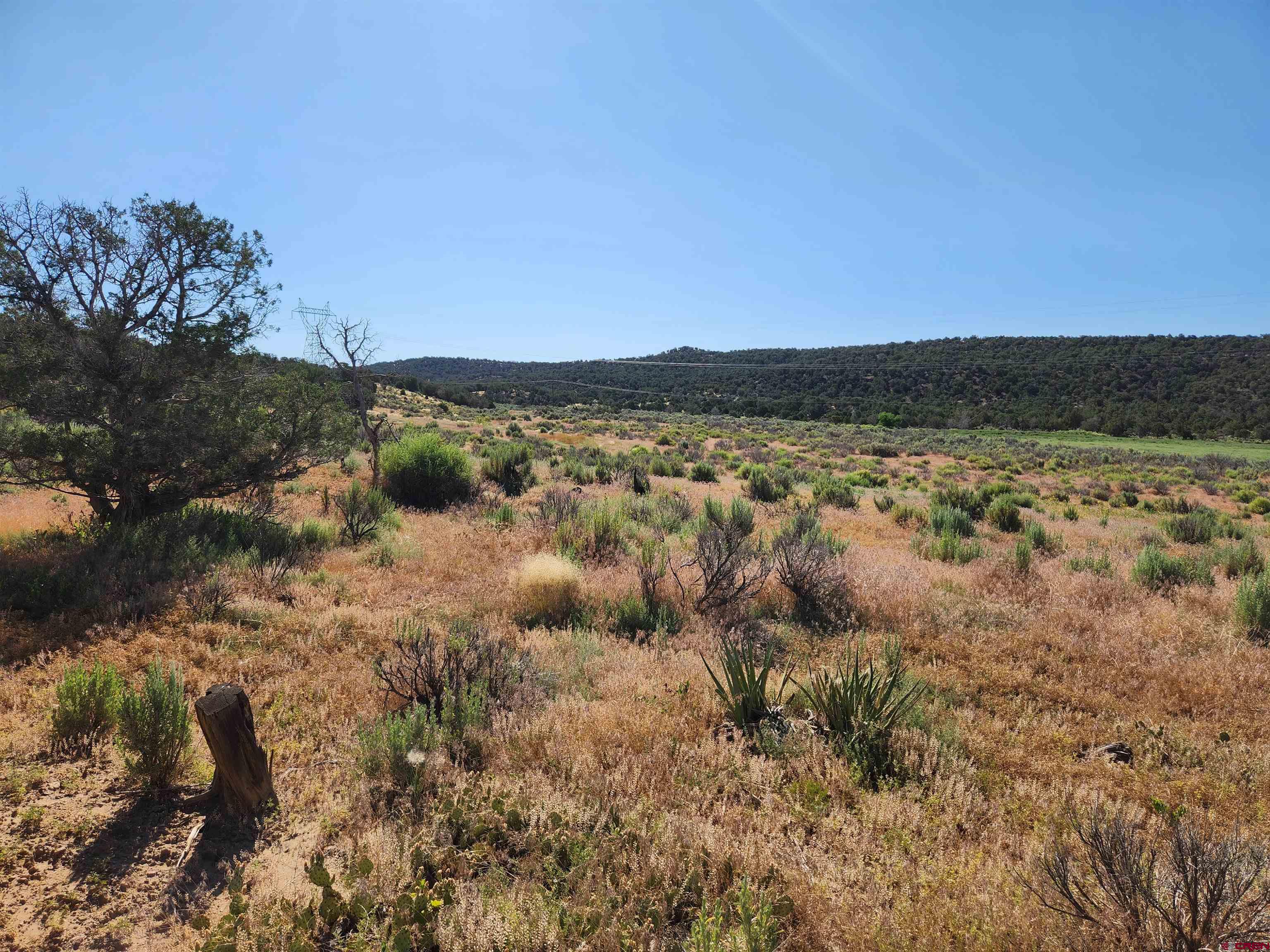Tbd Rd L Mancos, CO 81328 - Photo 23 of 24 a view of lake and mountain