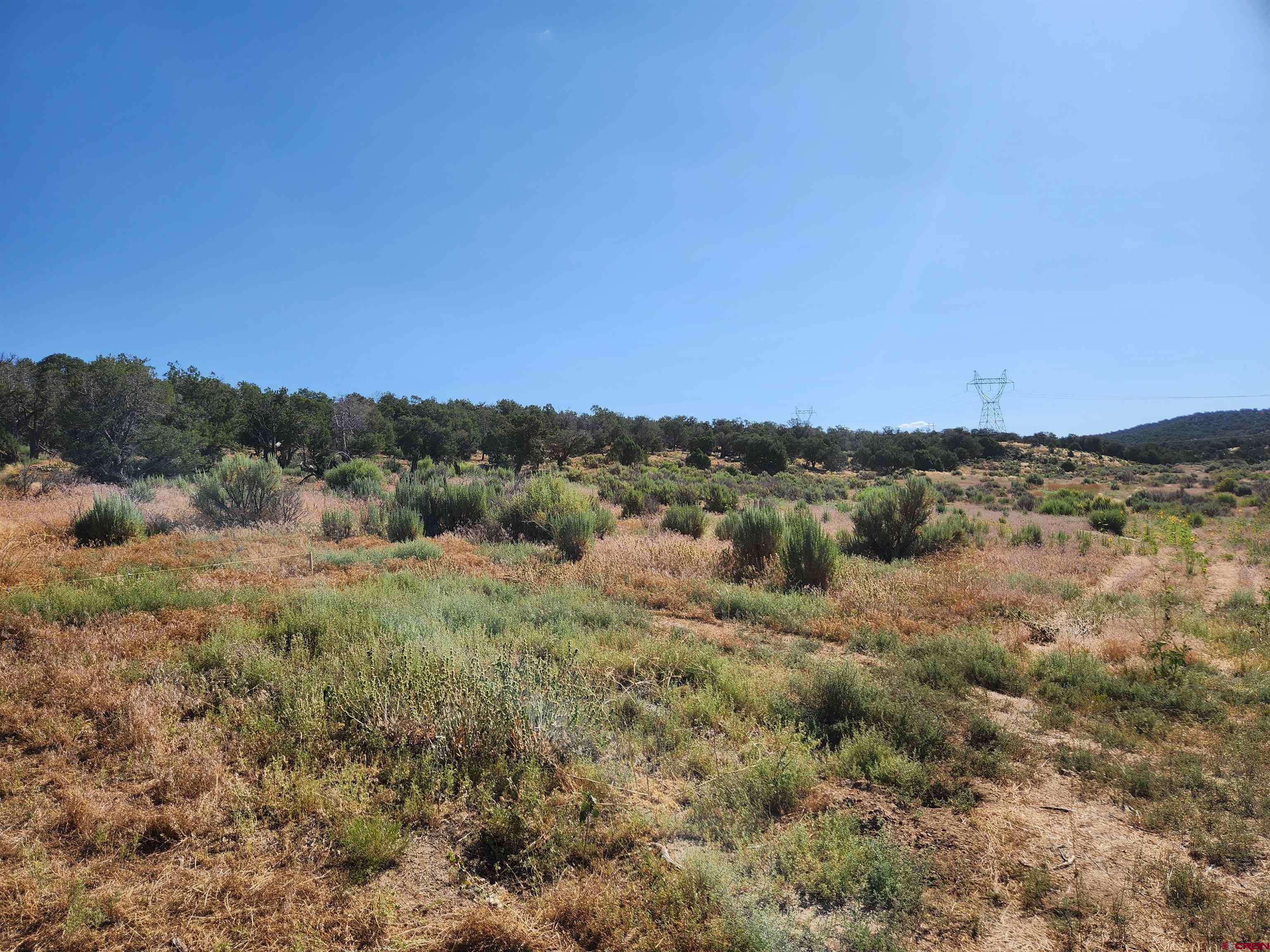 Tbd Rd L Mancos, CO 81328 - Photo 7 of 24 a view of a field of grass and trees