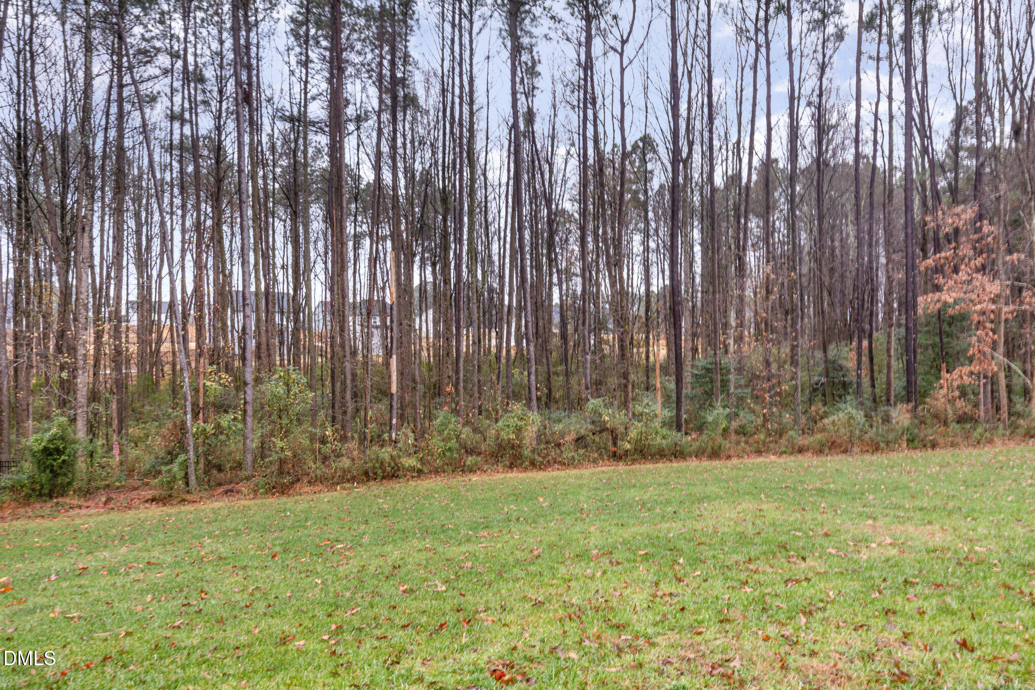 218 Smith Prince Road Fuquay-Varina, NC 27526 - Photo 32 of 38 033_img_7477-edit_703