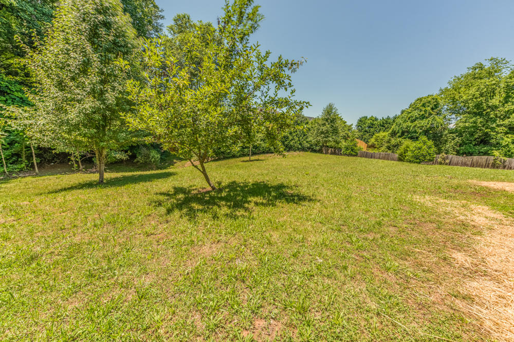 12729 Clear Ridge Road Knoxville, TN 37922 - Photo 23 of 25 Backyard