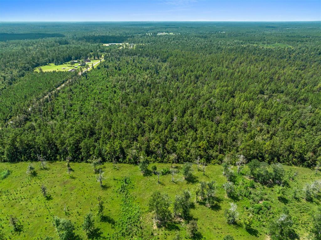 2 Clark Road Dequincy, LA 70633 - Photo 5 of 7