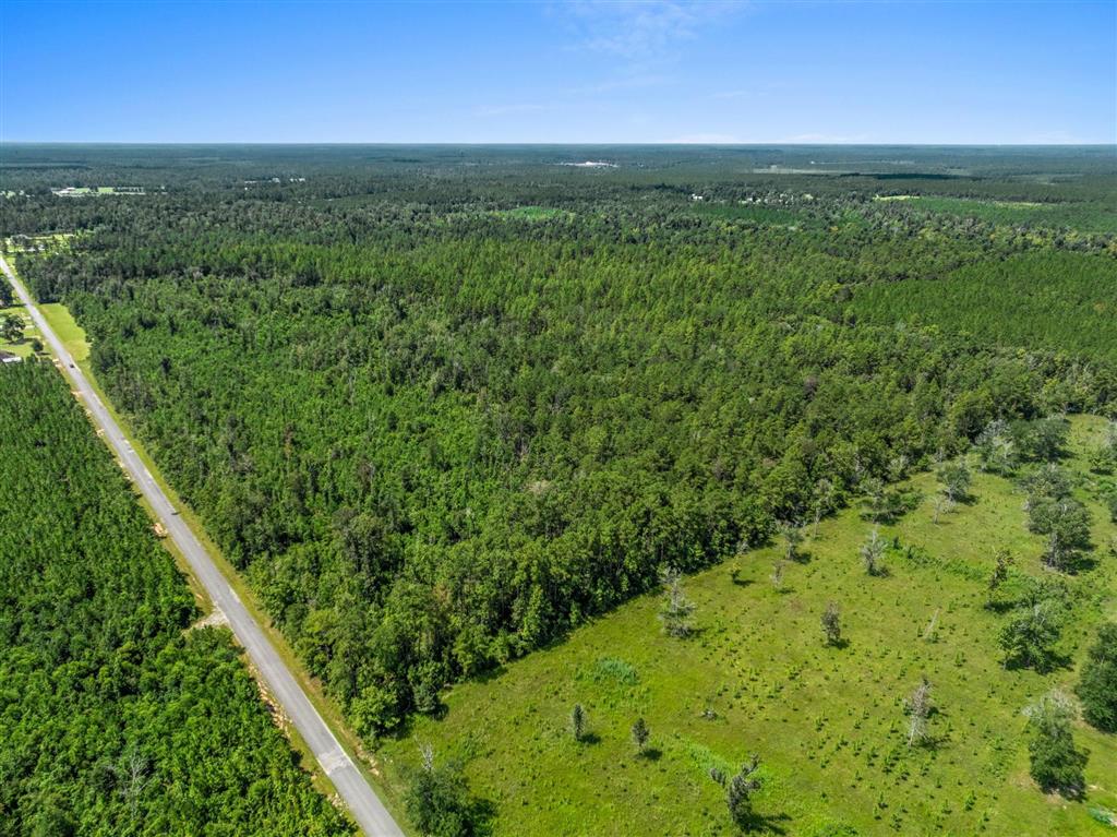 2 Clark Road Dequincy, LA 70633 - Photo 6 of 7