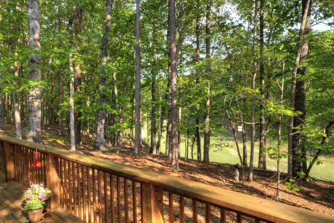 37 Port Tack Road Salem, SC 29676 - Photo 31 of 36 Gallery Image 31