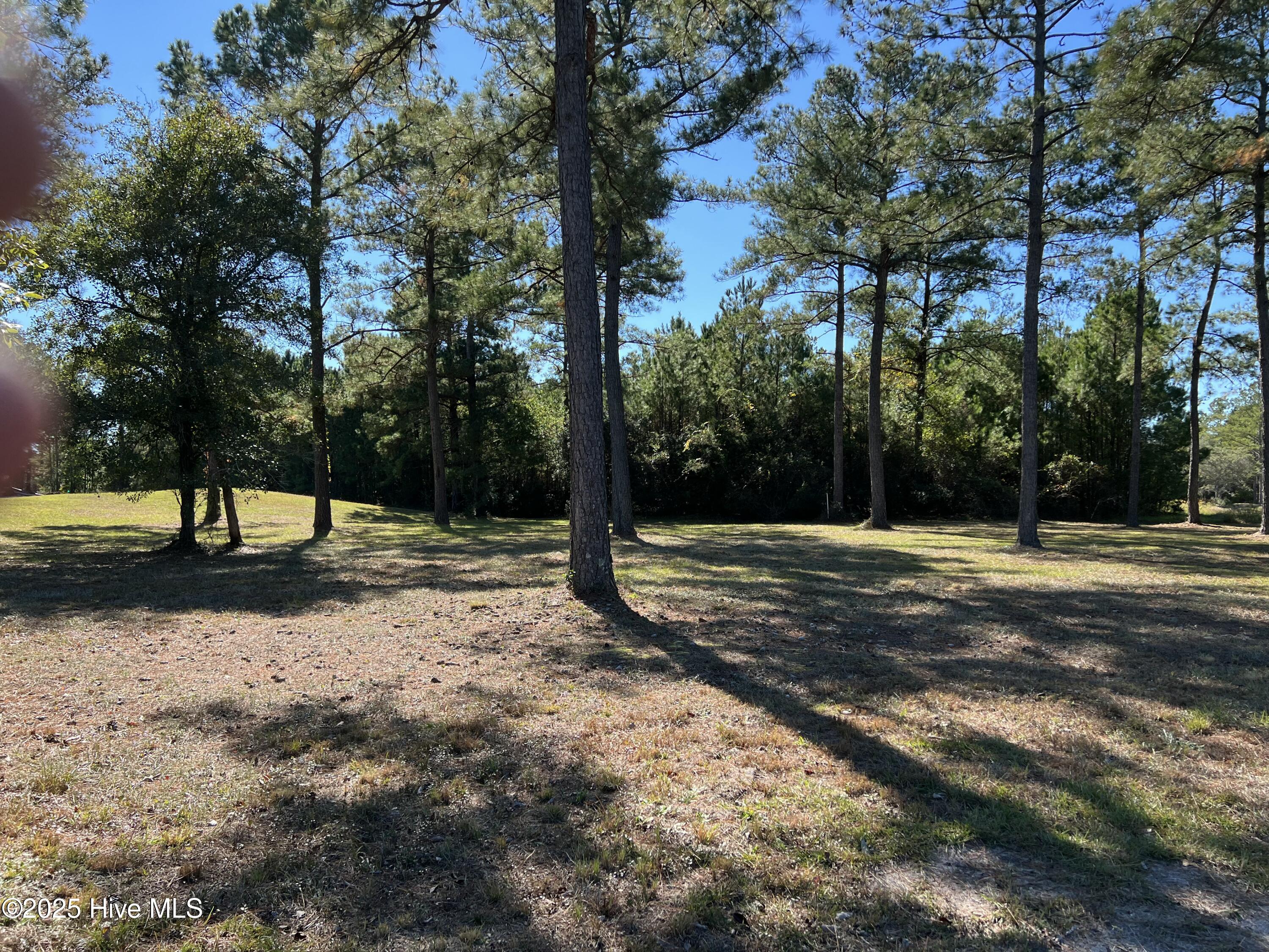 1061 Crosby Circle Southwest Sunset Beach, NC 28468 - Photo 5 of 6 IMG_2177