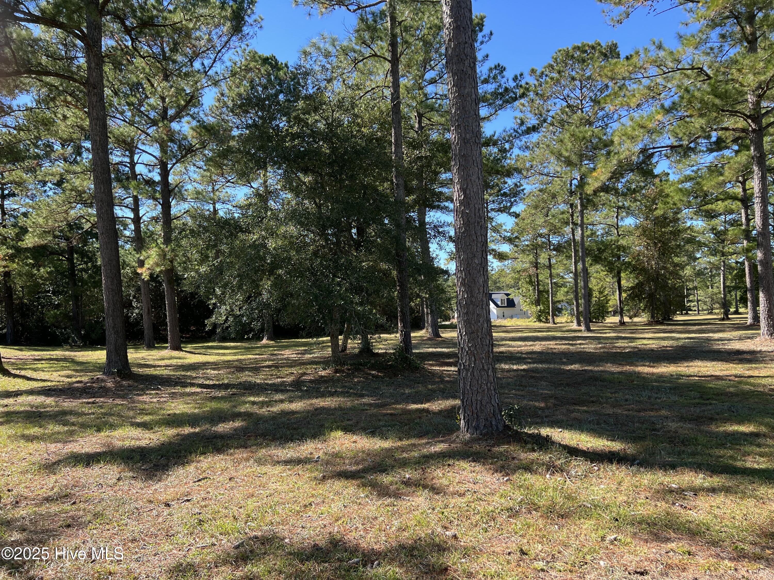 1061 Crosby Circle Southwest Sunset Beach, NC 28468 - Photo 6 of 6 IMG_2178