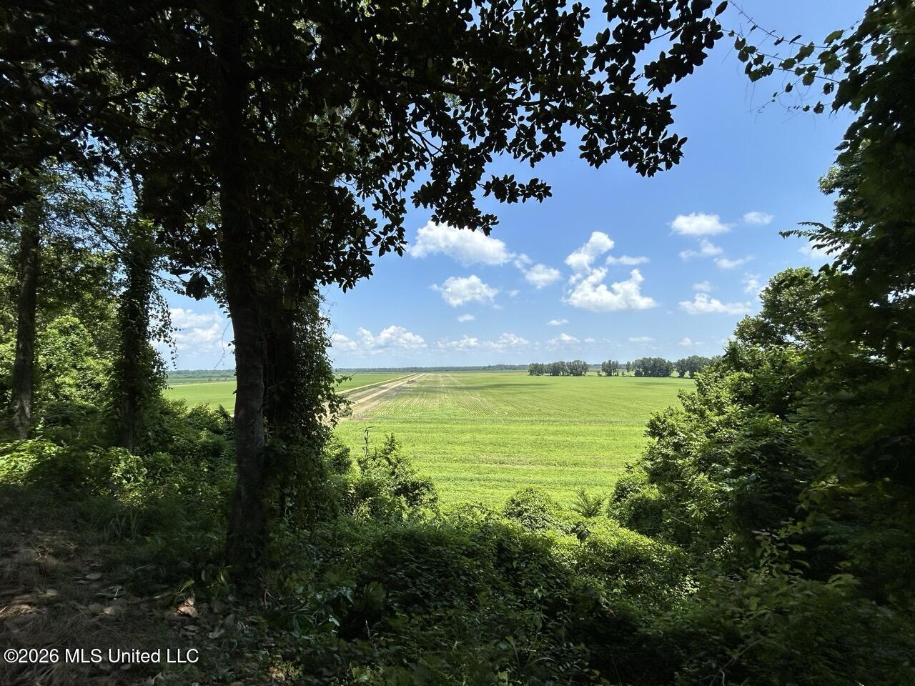 Annas Bottom Road Natchez, MS 39120 - Photo 45 of 48 IMG_4876 Large