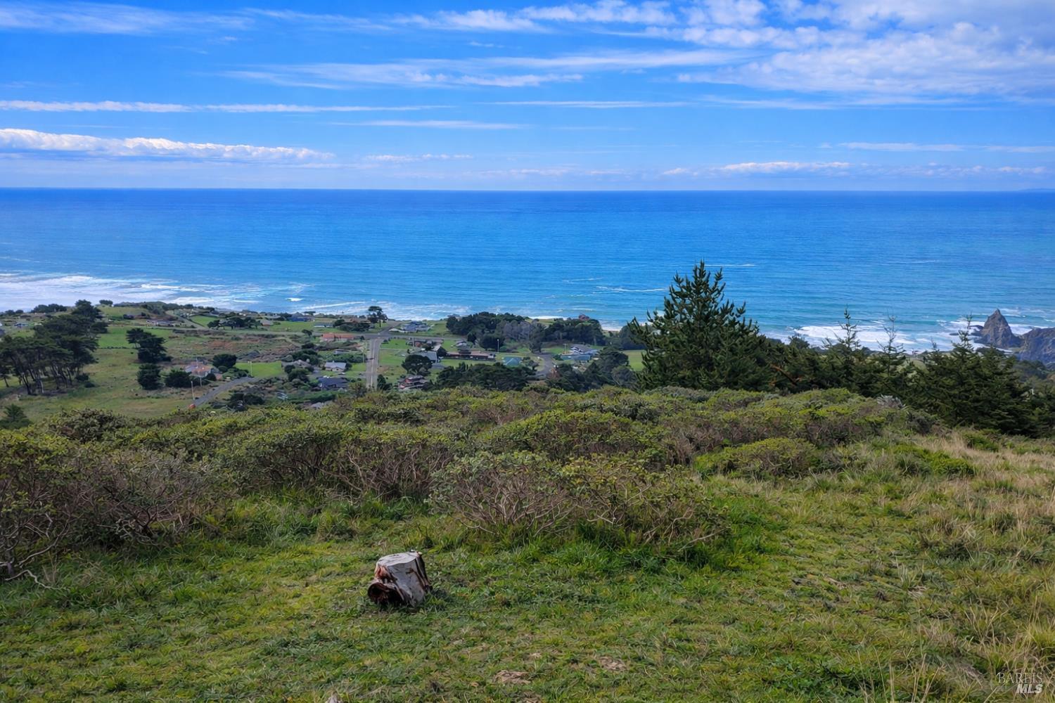 0 Alta Mesa Road Manchester, CA 95459 - Photo 11 of 13