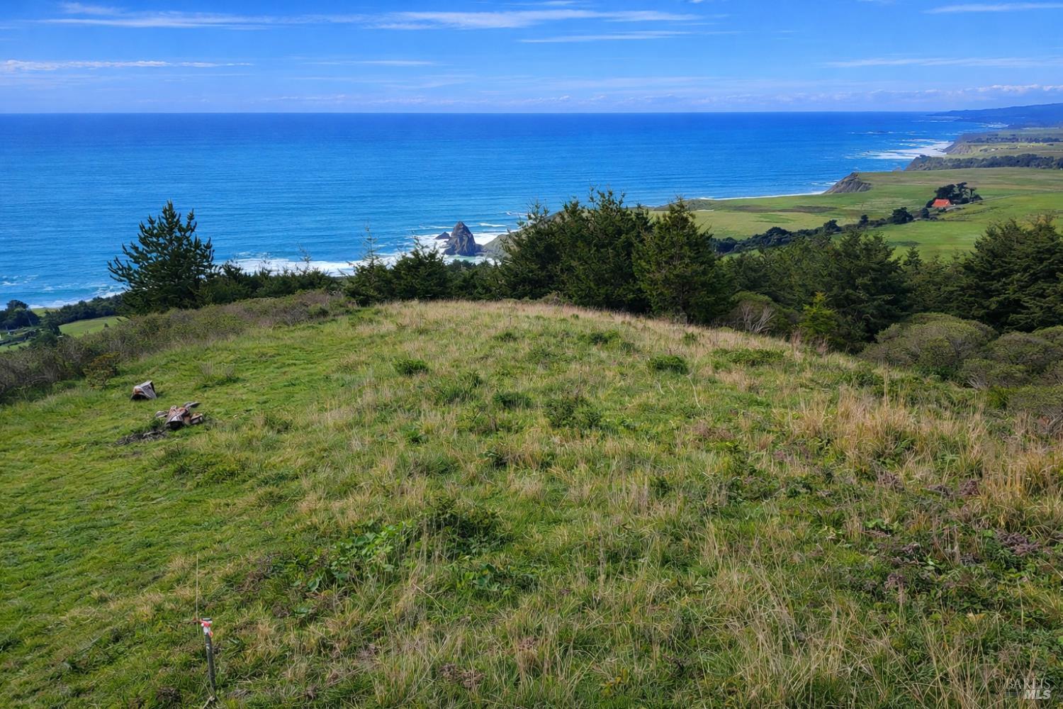 0 Alta Mesa Road Manchester, CA 95459 - Photo 9 of 13