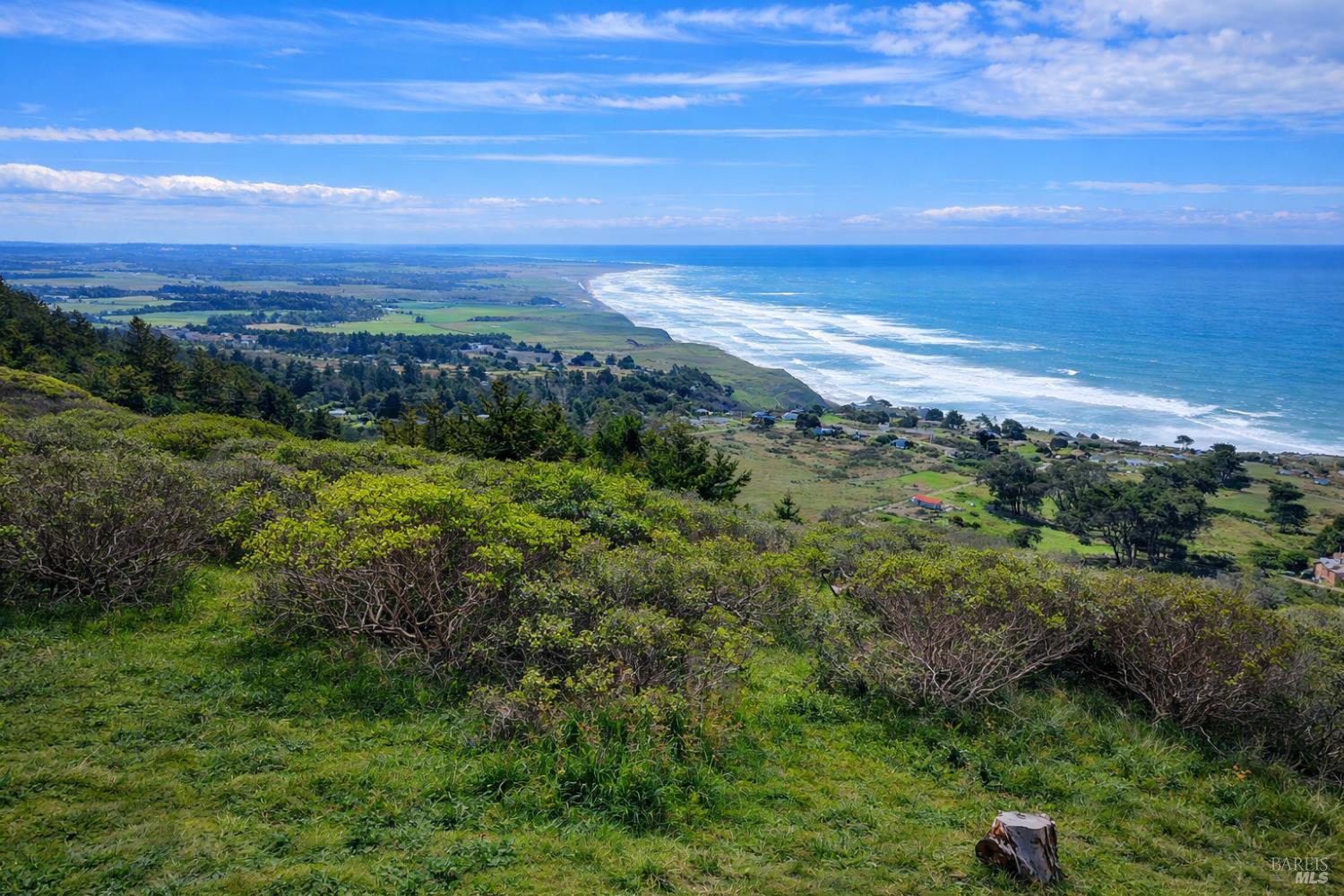 0 Alta Mesa Road Manchester, CA 95459 - Photo 10 of 13