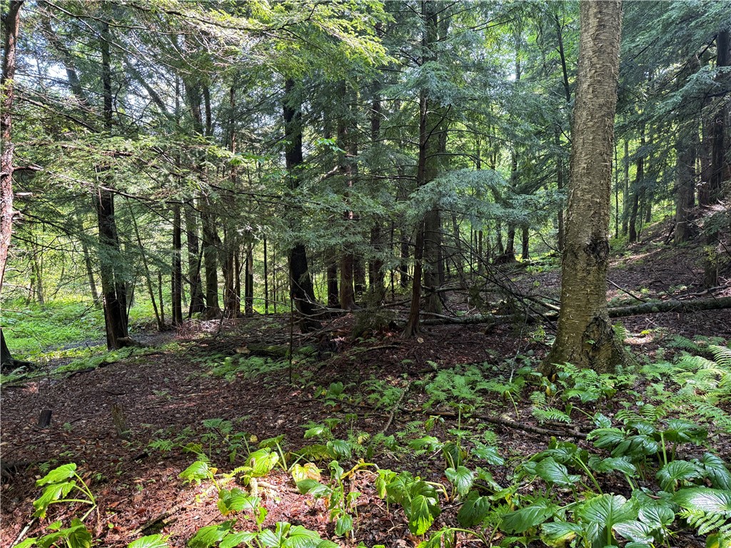 8722 Highway 417 Genesee, NY 14754 - Photo 27 of 45