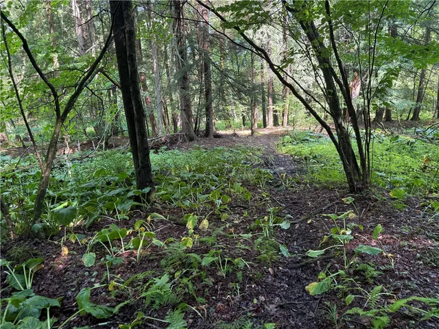 $84,900 | 8722 Highway 417, Genesee, NY 14754